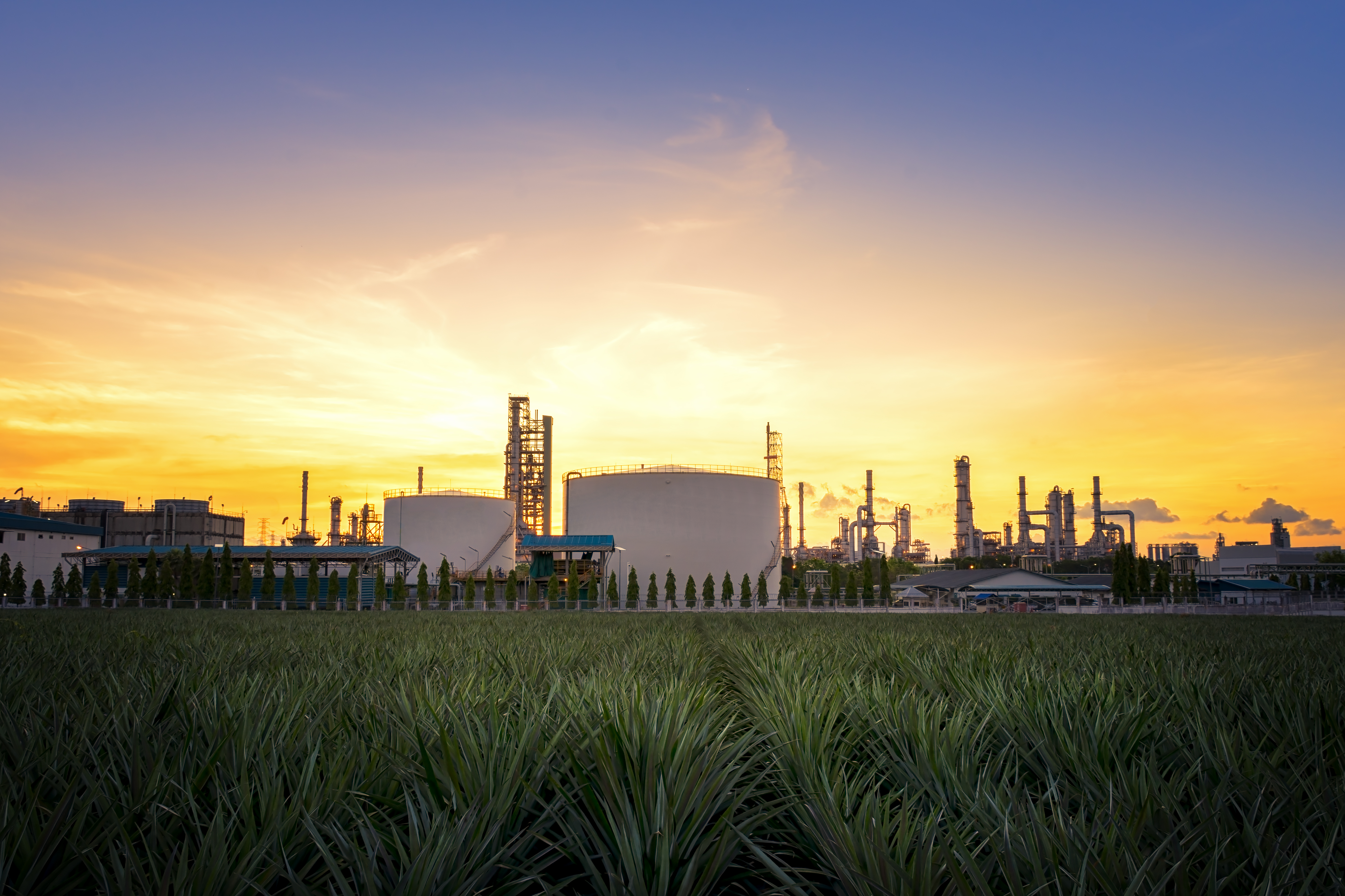 U.S. Natural Gas Stocks Poised for Sub-Average Weekly Build