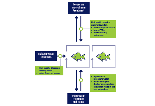 Diagramme d'aquaculture