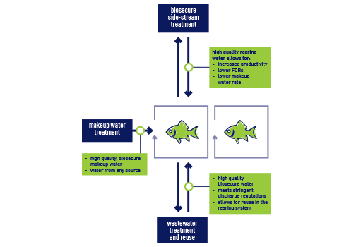 Diagrama de aquicultura