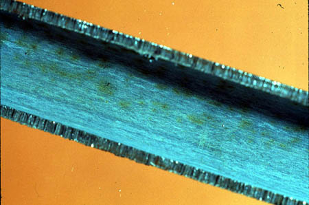 Figure 24-8. Mild steel corrosion protection provided by a passivationg inhibitor.