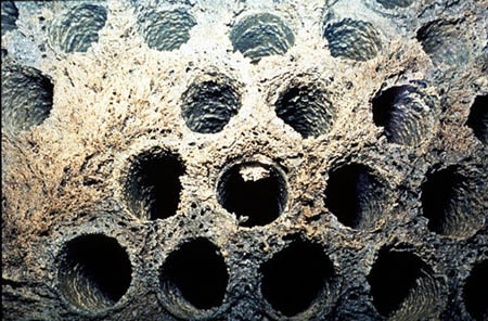 Figure 25-3. Calcium carbonate scaling of an electric utility surface condenser due to poor pH control.