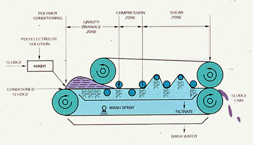 Figure 37-12. Gravity drainage is an important step in belt press dewatering.