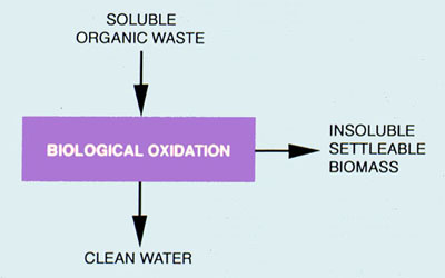 Figure 37-5. Biological oxidation converts soluble waste into clean water and an insoluble biomass.