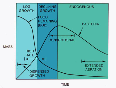 Figure 37-8. Model of bacterial population as a function of time and amount of food.