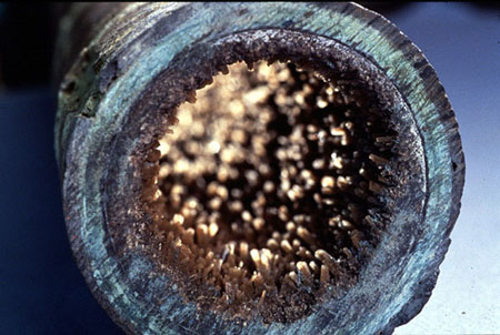 Figure 38-6. Deposits can develop rapidly in high solids systems.