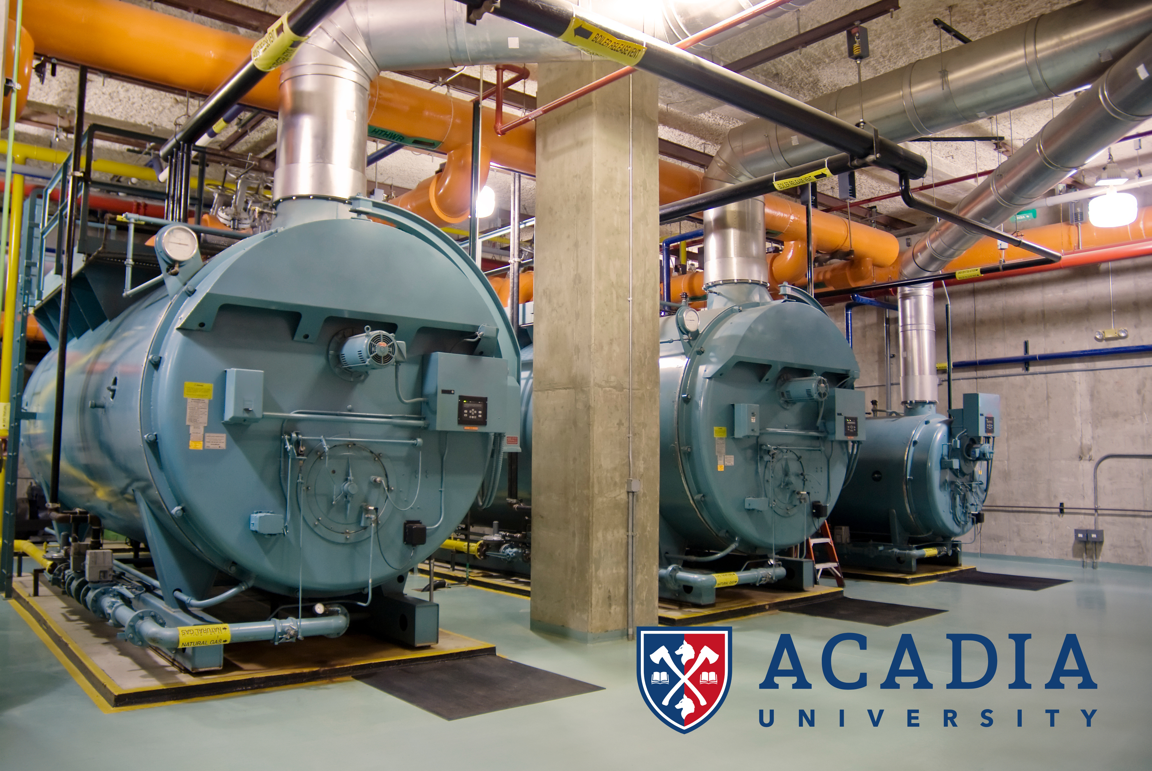 Acadia University