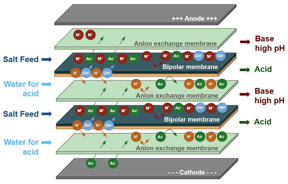BP2-A principle