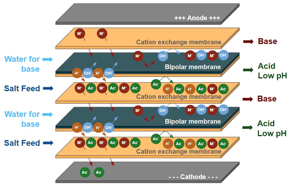 BP2-C principle