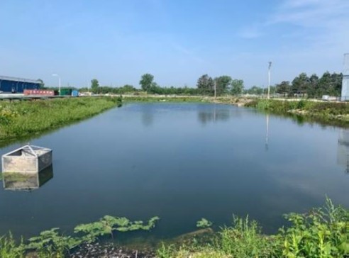 Figure 2: Pond 10 days into Spectrus CT1300 treatment program