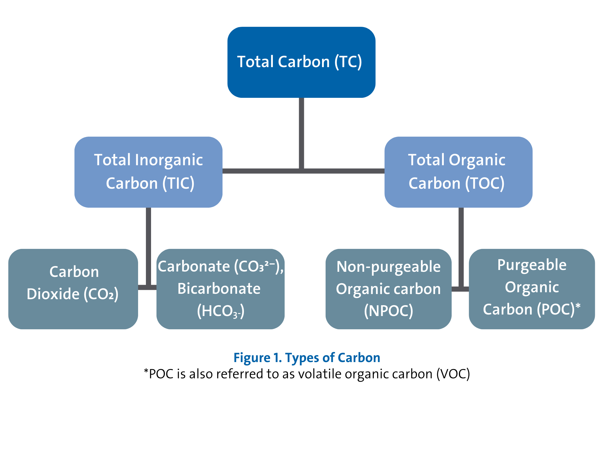 Figura 1. Tipos de carbono