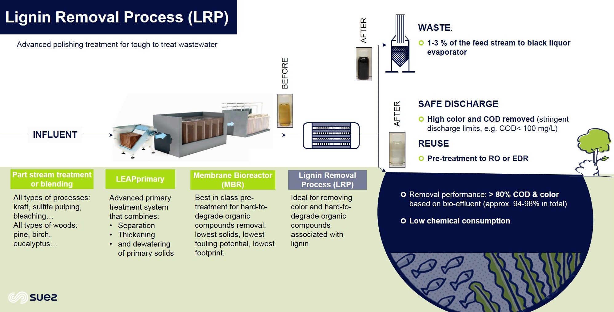 Lignin Removal Process