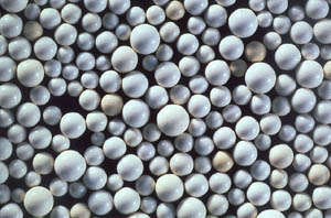 Microscopic view of a macroporous strong base anion resin