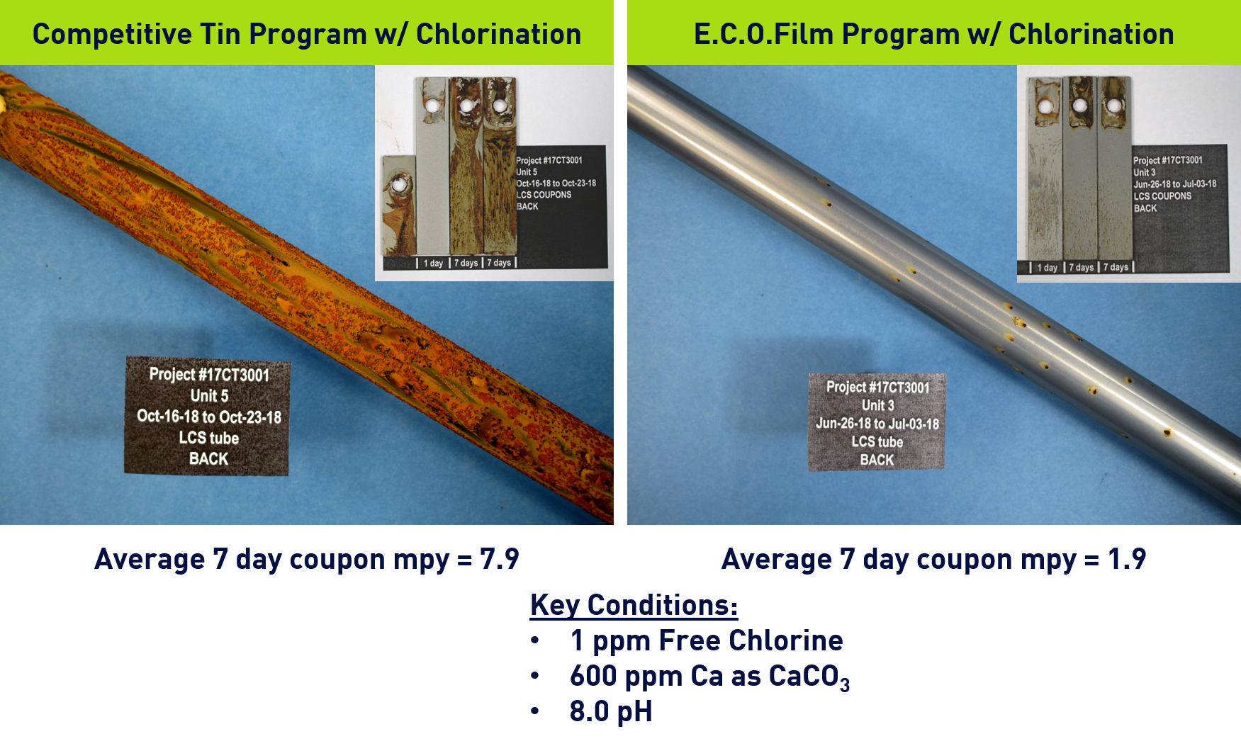 E.C.O.Film vs Competitive Tin Program