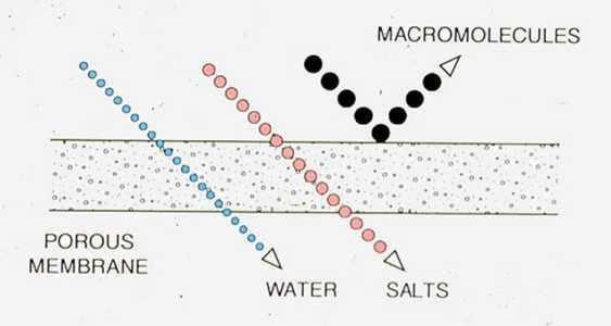 Figure 9-7. Ultrafiltration membranes pass inorganic ions but reject large organic molecules and colloidal particles.