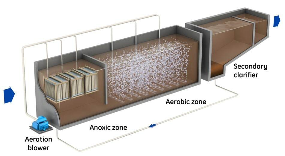 reactor ZeeLung-grande