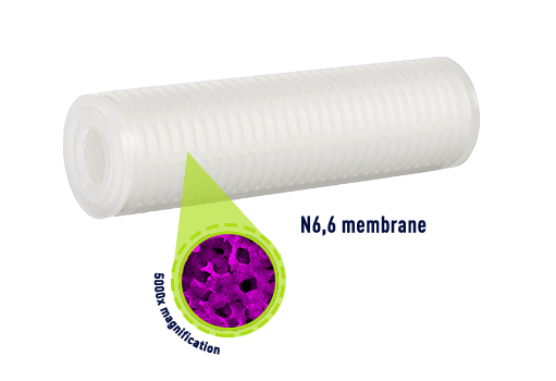 n66 Membrane