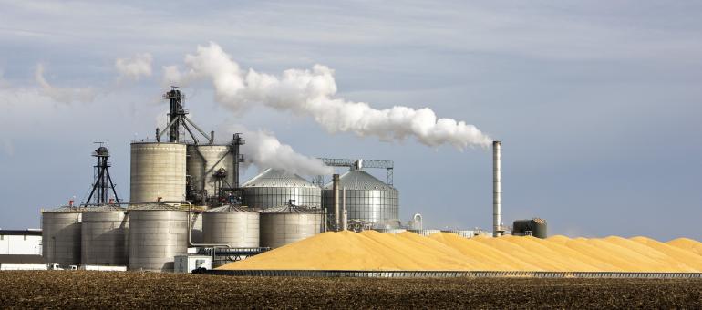 Increasing Ethanol Production Efficiency and Yield to Unlock the Sustainability of Biofuels