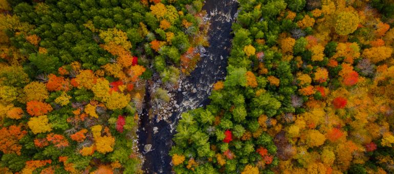 PFAS remediation is becoming more urgent for industry, municipal water facilities