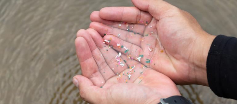 Lutter contre la pollution plastique à l'occasion de la Journée mondiale de l'environnement 2023