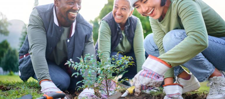 people planting a tree