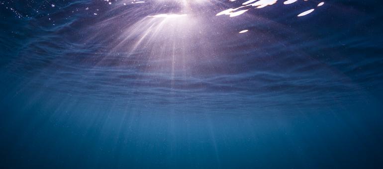 Earth Day and Beyond: How Veolia Water Technologies & Solutions is Making a Difference