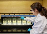 A scientist testing for coagulants and flocculants in a group of beakers.