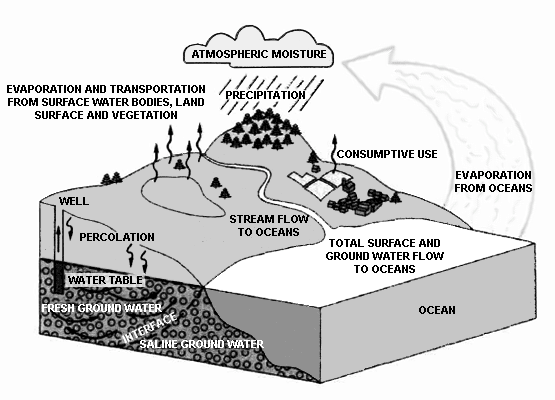 Global Water Cycle (Source: U.S Geological Survey)
