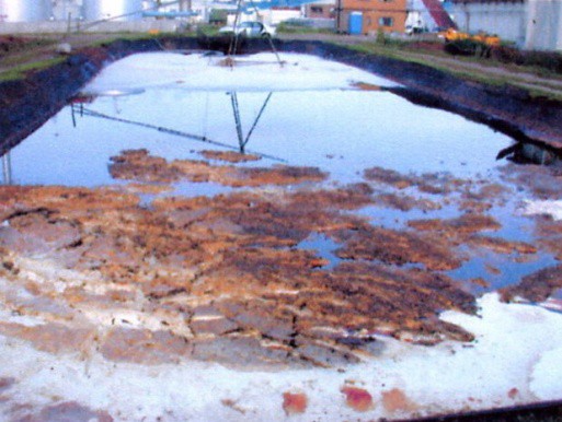 Figure 1: Lagoon Before Treatment