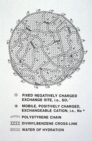 Schematic of hydrated strong acid cation exchanger.