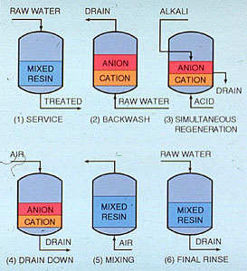 Significant steps in the regeneration sequence for a mixed bed exchanger