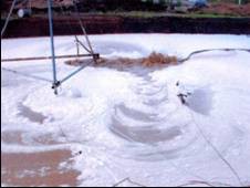 Figure 2: High Growth Rate shown by Foam formation