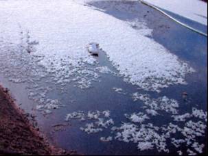 Figure 3: Lagoon after 10 days treatment