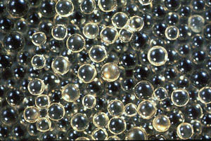Figure 8-1. Microscopic view of cellular resin beads (20-50 mesh) of a sulfonated styrene-divinylbenzene strong acid cation exhcanger. (Courtesy of Rohm and Haas Company.)